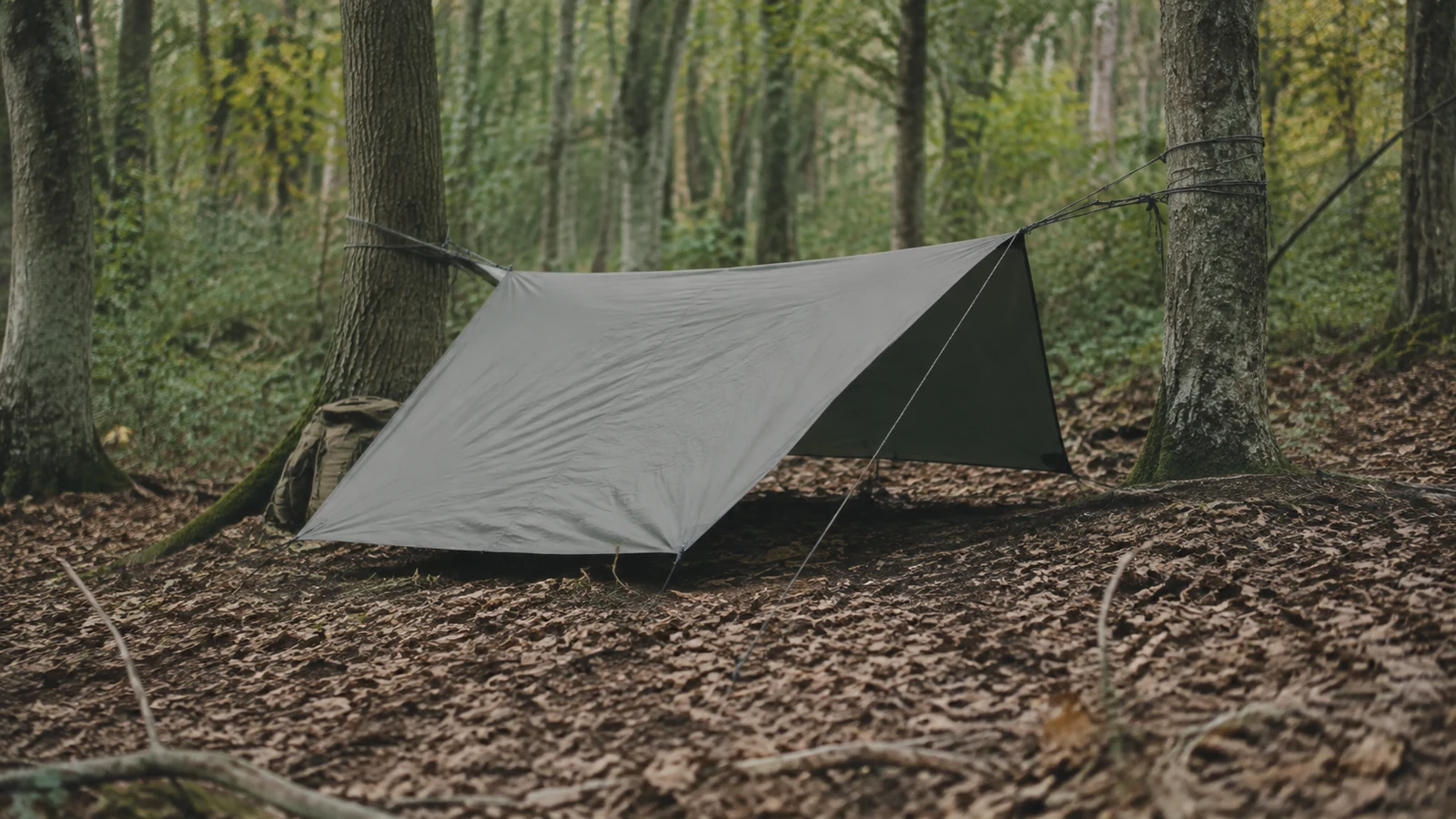 Abri léger monté en forêt pour un bivouac sobre